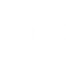 Brain